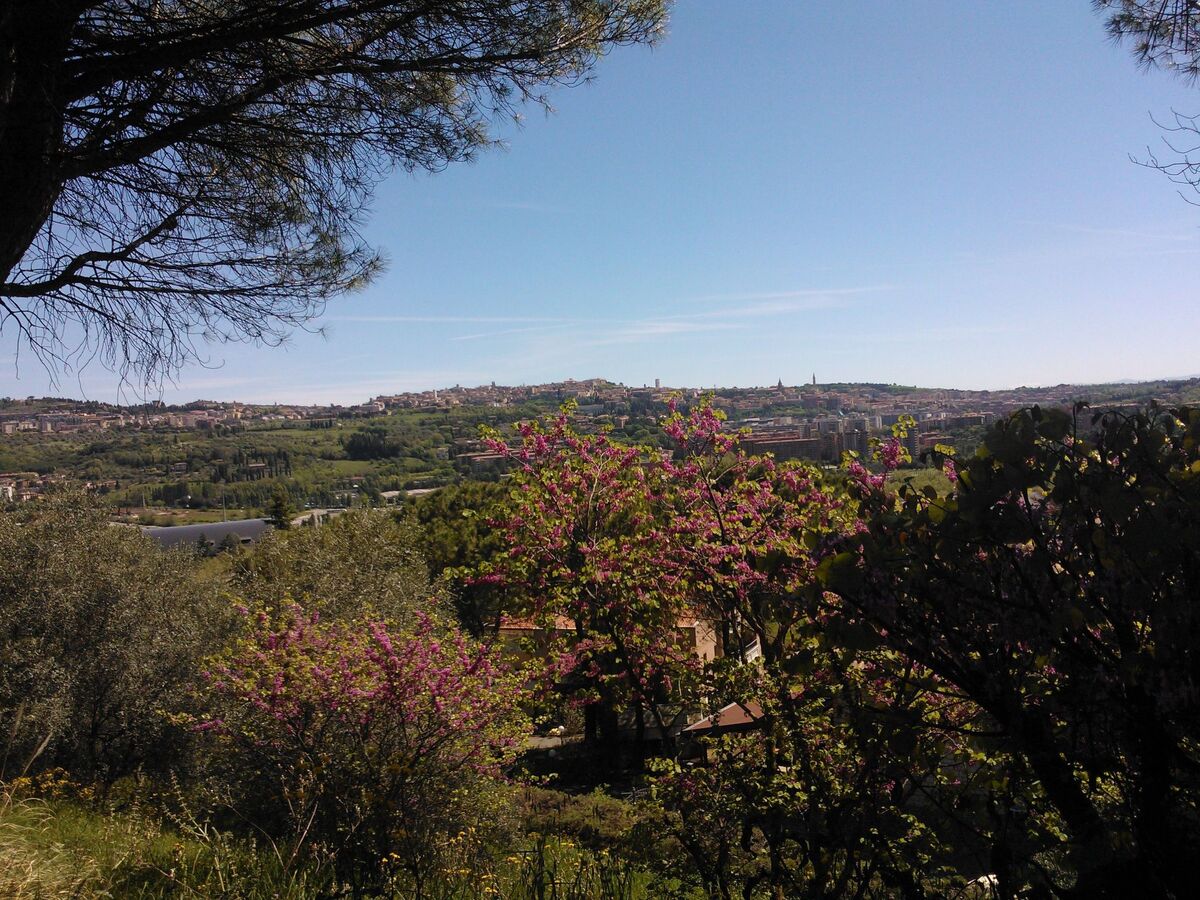 Appartement 2 pers. en verdure à Perugia, ascenseur - Photo 23