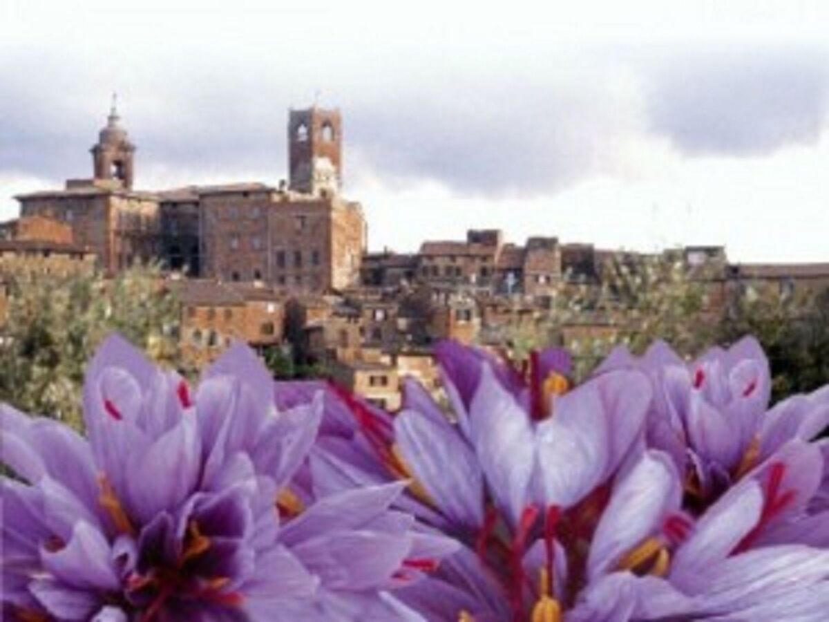 Romantico 36, bilocale nel cuore medievale - Photo 26