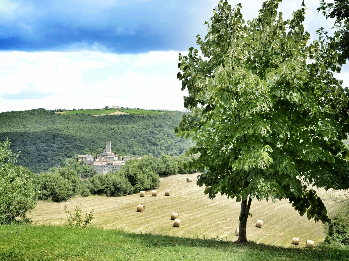 Appartement 4 pers. dans ferme d'Ombrie à 400 m - Photo 21