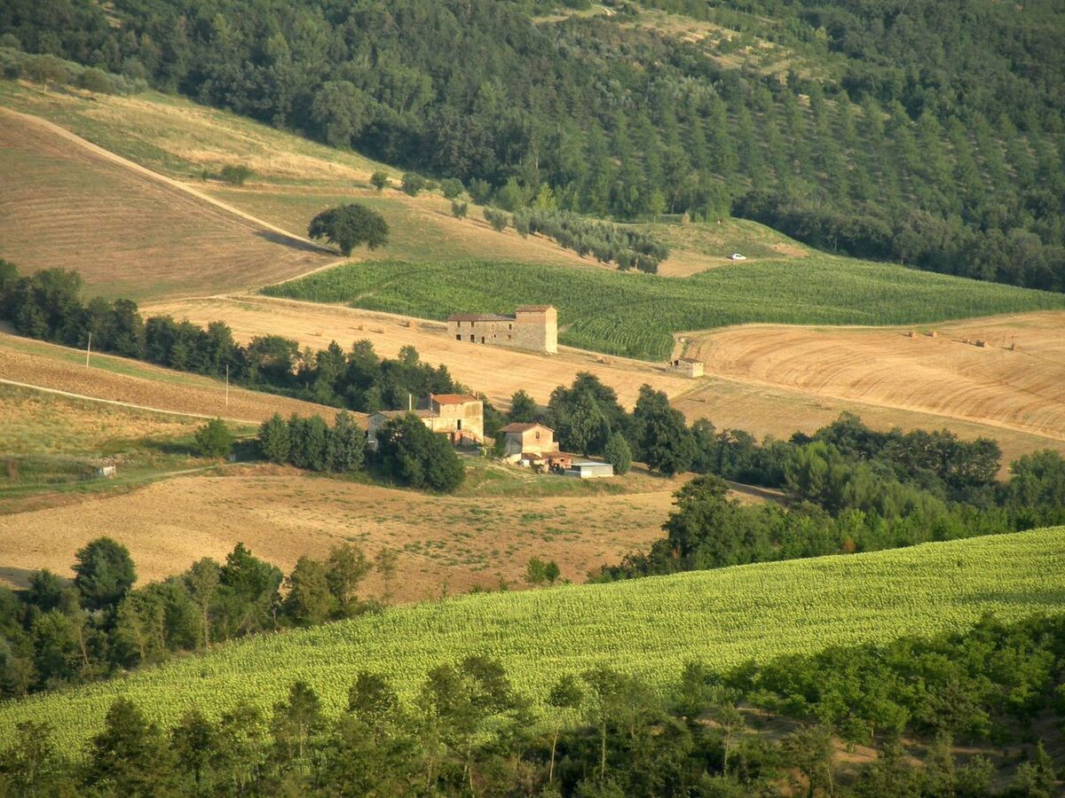 Appartement 4 pers. dans ferme d'Ombrie à 400 m - Photo 23