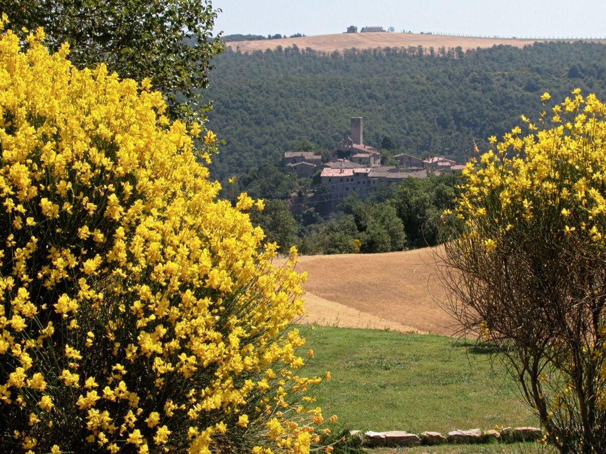 Appartement 4 pers. dans ferme d'Ombrie à 400 m - Photo 26