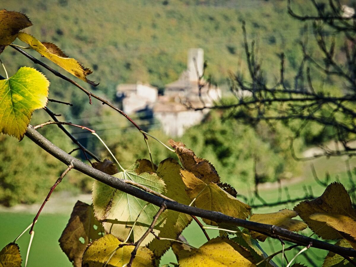 Appartement 4 pers. dans ferme d'Ombrie à 400 m - Photo 30