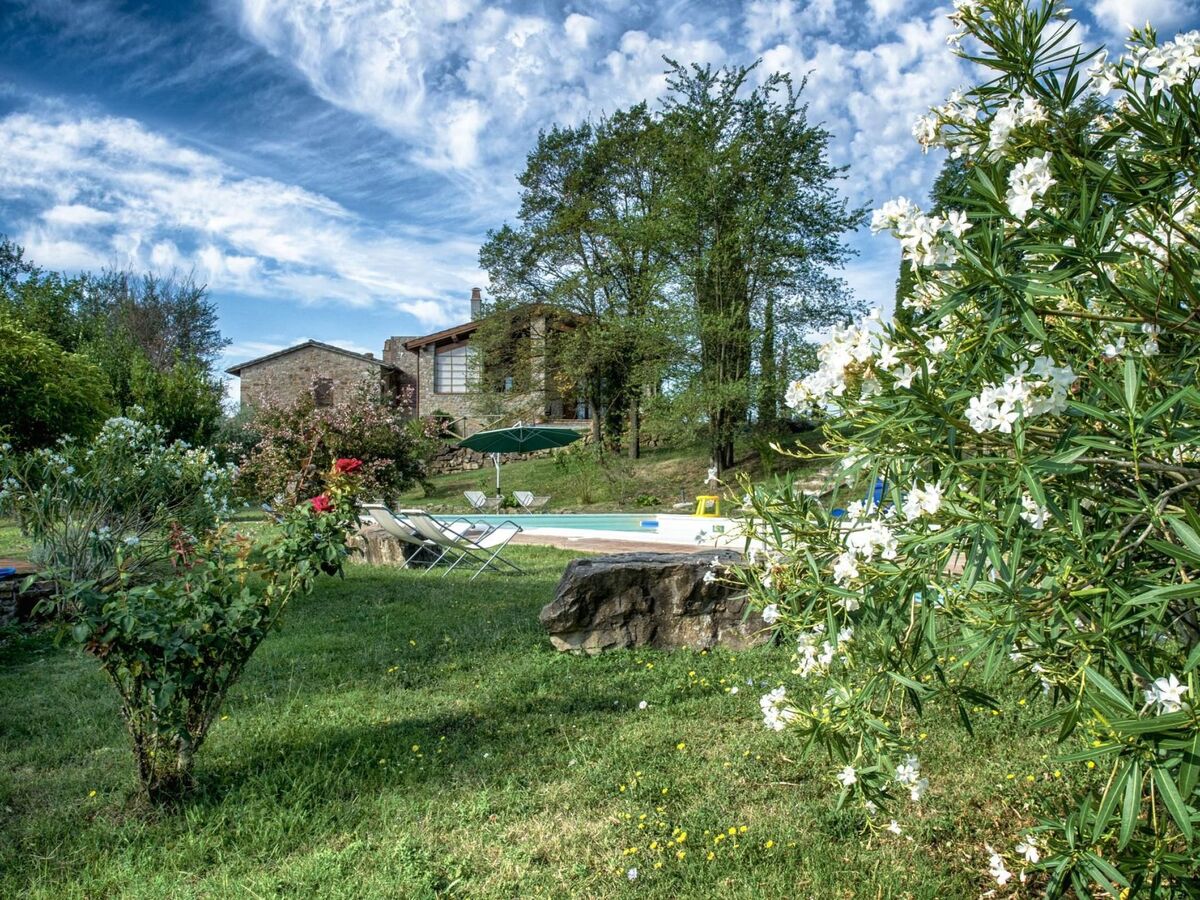 L'Ulivo, appartement 6 pers. avec sauna à San Venanzo - Photo 73