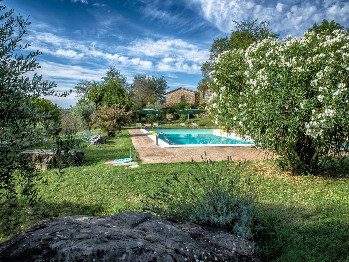 Il Mandorlo – Appartement 8 pers., piscine et spa - Photo 37