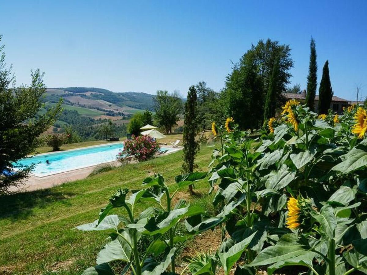 Il Mandorlo – Appartement 8 pers., piscine et spa - Photo 60