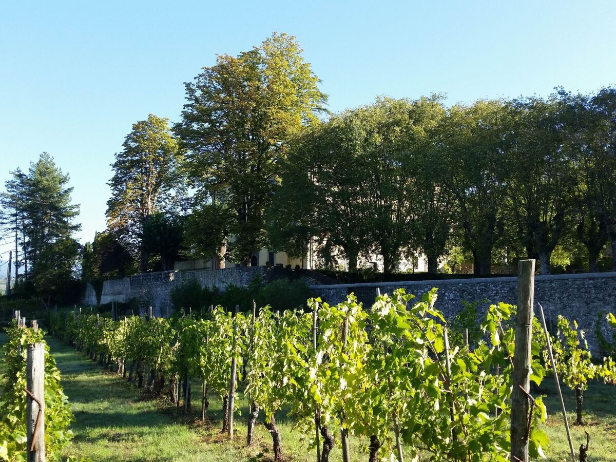 Villa Salicone – Demeure du XIXe avec piscine privée - Photo 2