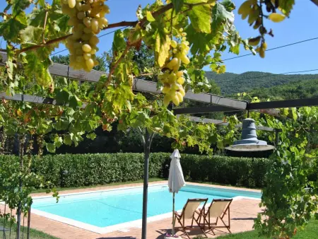 Maison de maître XVIIe siècle, 7000 m² et piscine à Acquasparta : photo 7
