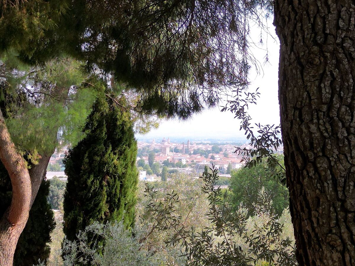 Chambre d'hôte à Foligno avec jardin privé - Photo 6