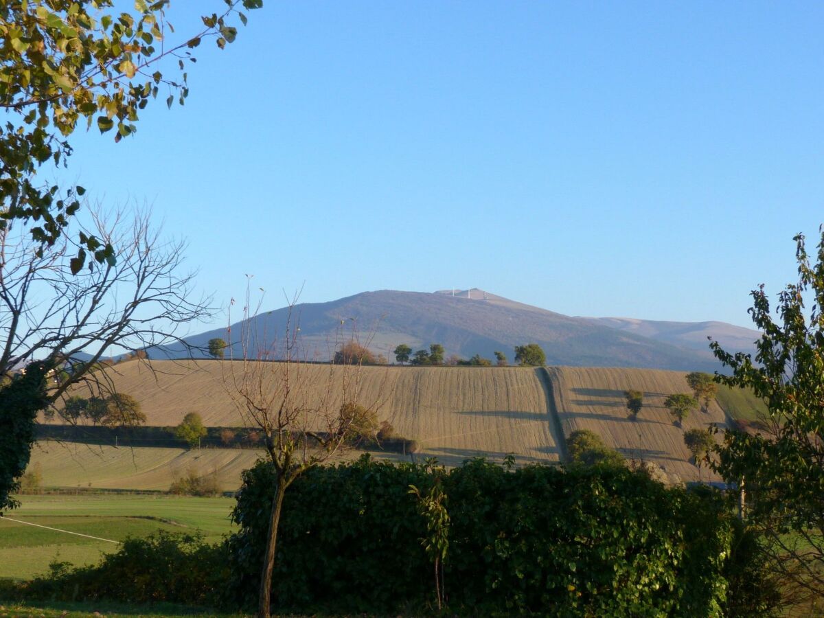 Appartement 4 pers. au cœur du parc naturel de Monte Cucco - Photo 16