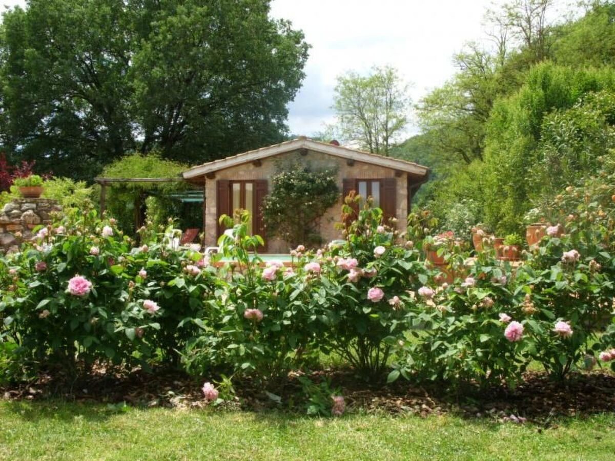 Maison de campagne avec piscine privée à Orte - Photo 1