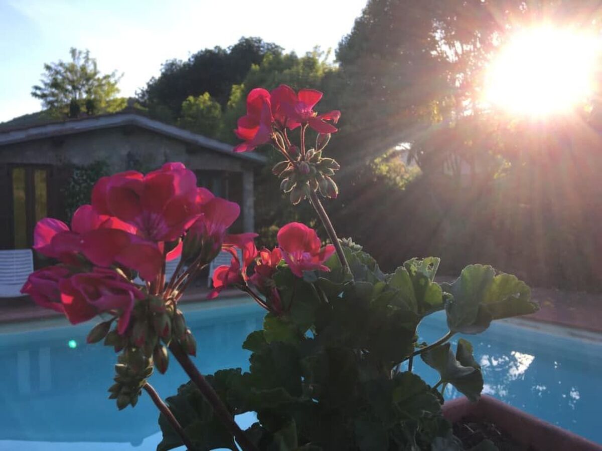 Maison de campagne avec piscine privée à Orte - Photo 12