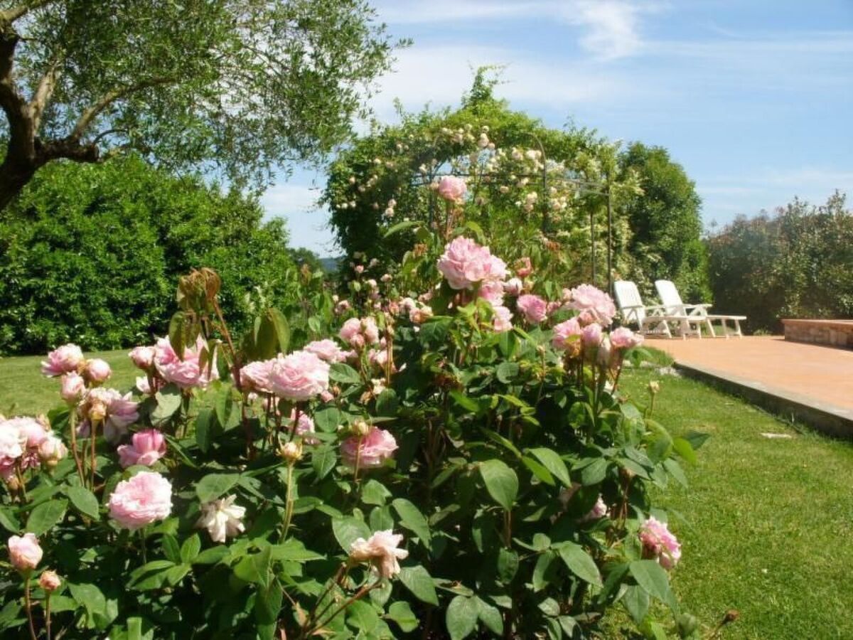 Maison de campagne avec piscine privée à Orte - Photo 38