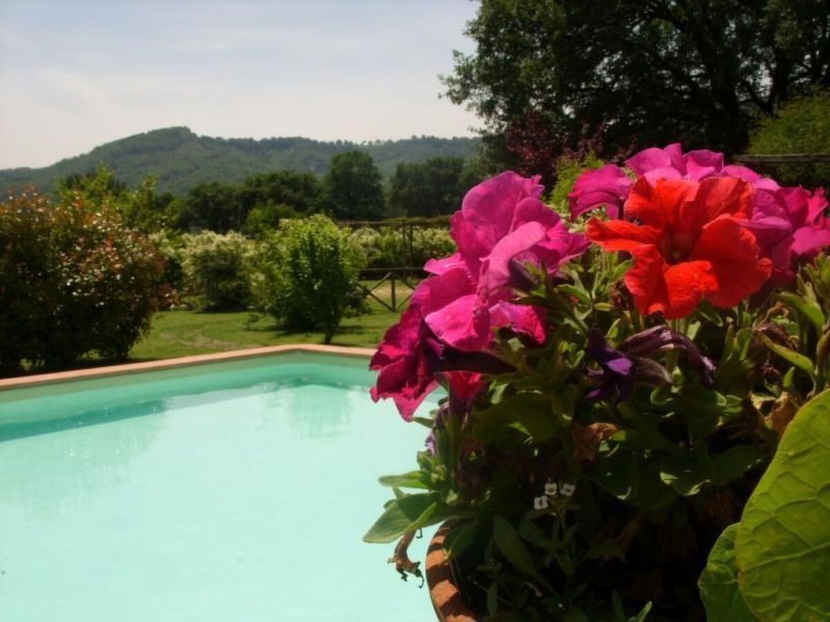 Maison de campagne avec piscine privée à Orte - Photo 40