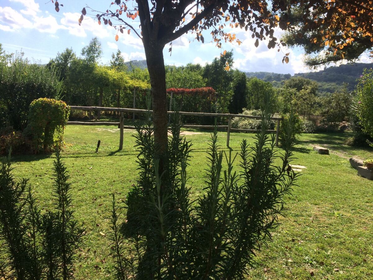 Maison de campagne avec piscine privée à Orte - Photo 43