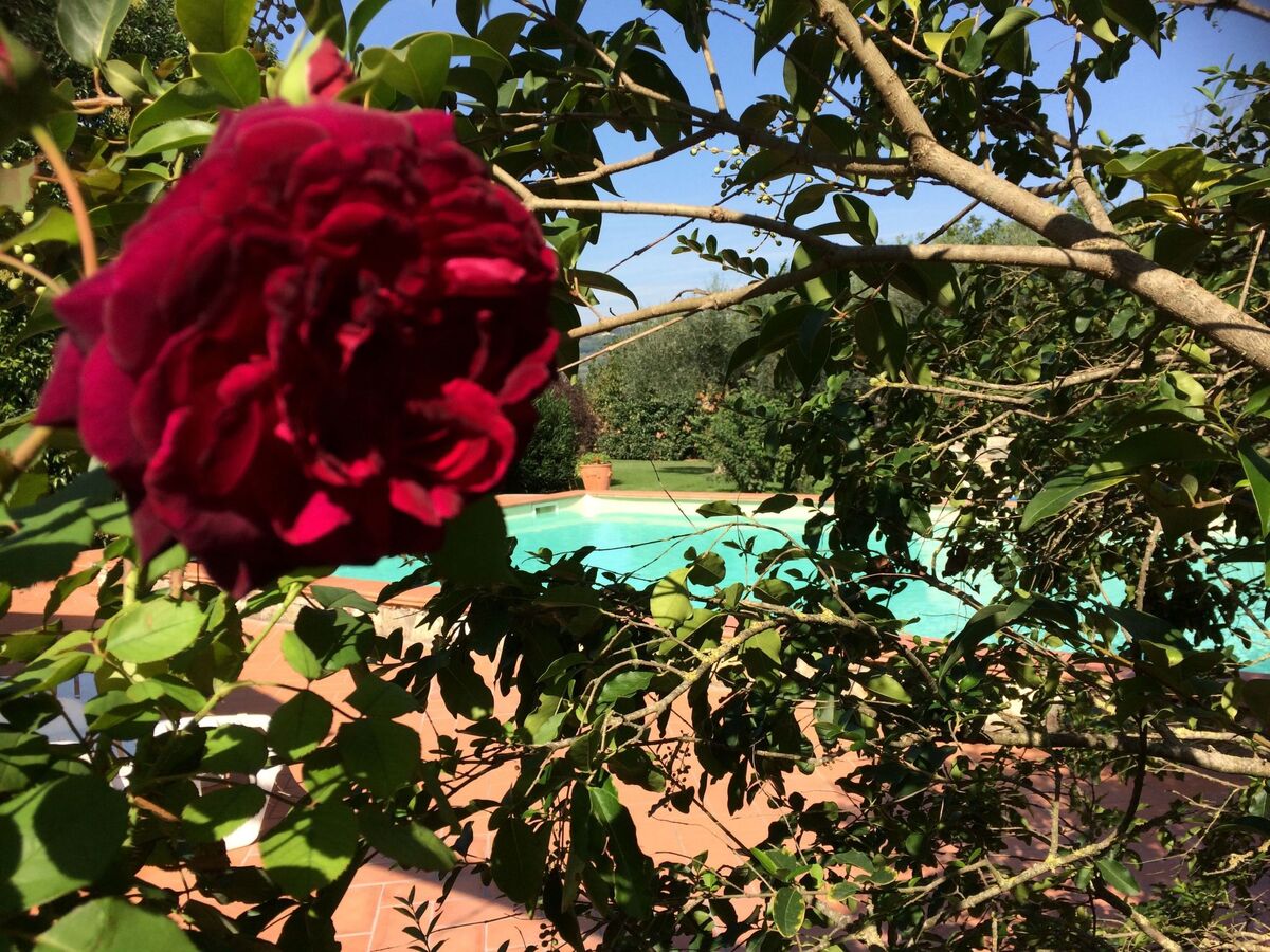 Maison de campagne avec piscine privée à Orte - Photo 44