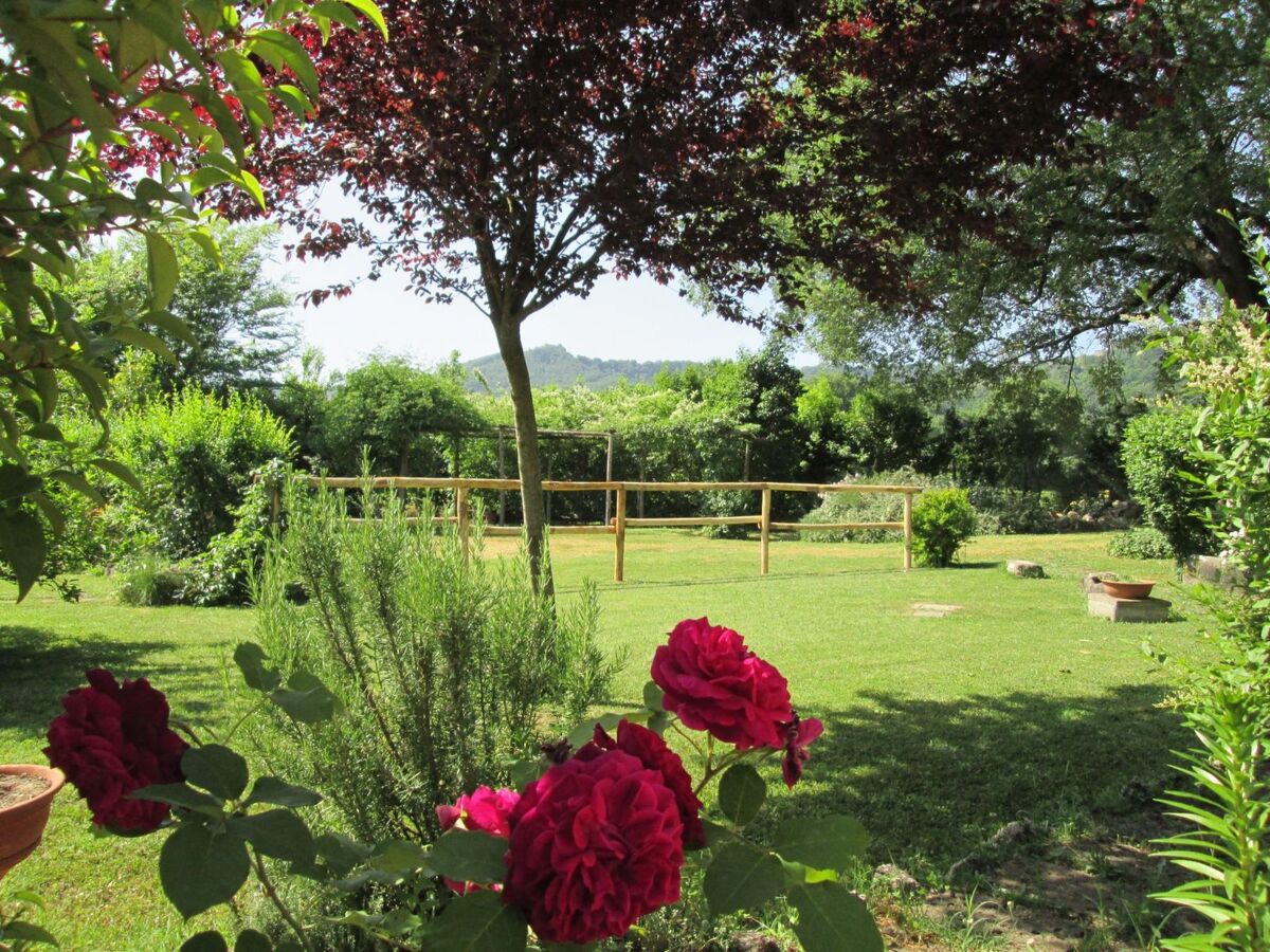 Maison de campagne avec piscine privée à Orte - Photo 46