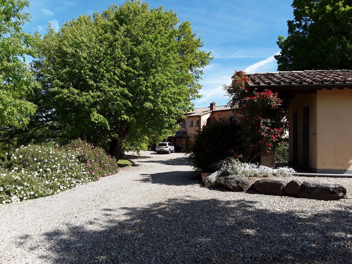 La Porcilaia, appartement 130 m² vue lac Bolsena - Photo 5