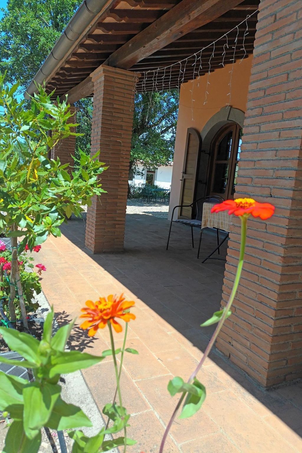 La Porcilaia, appartement 130 m² vue lac Bolsena - Photo 25