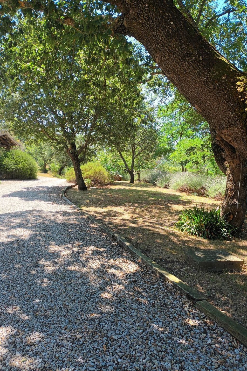 La Porcilaia, appartement 130 m² vue lac Bolsena - Photo 29