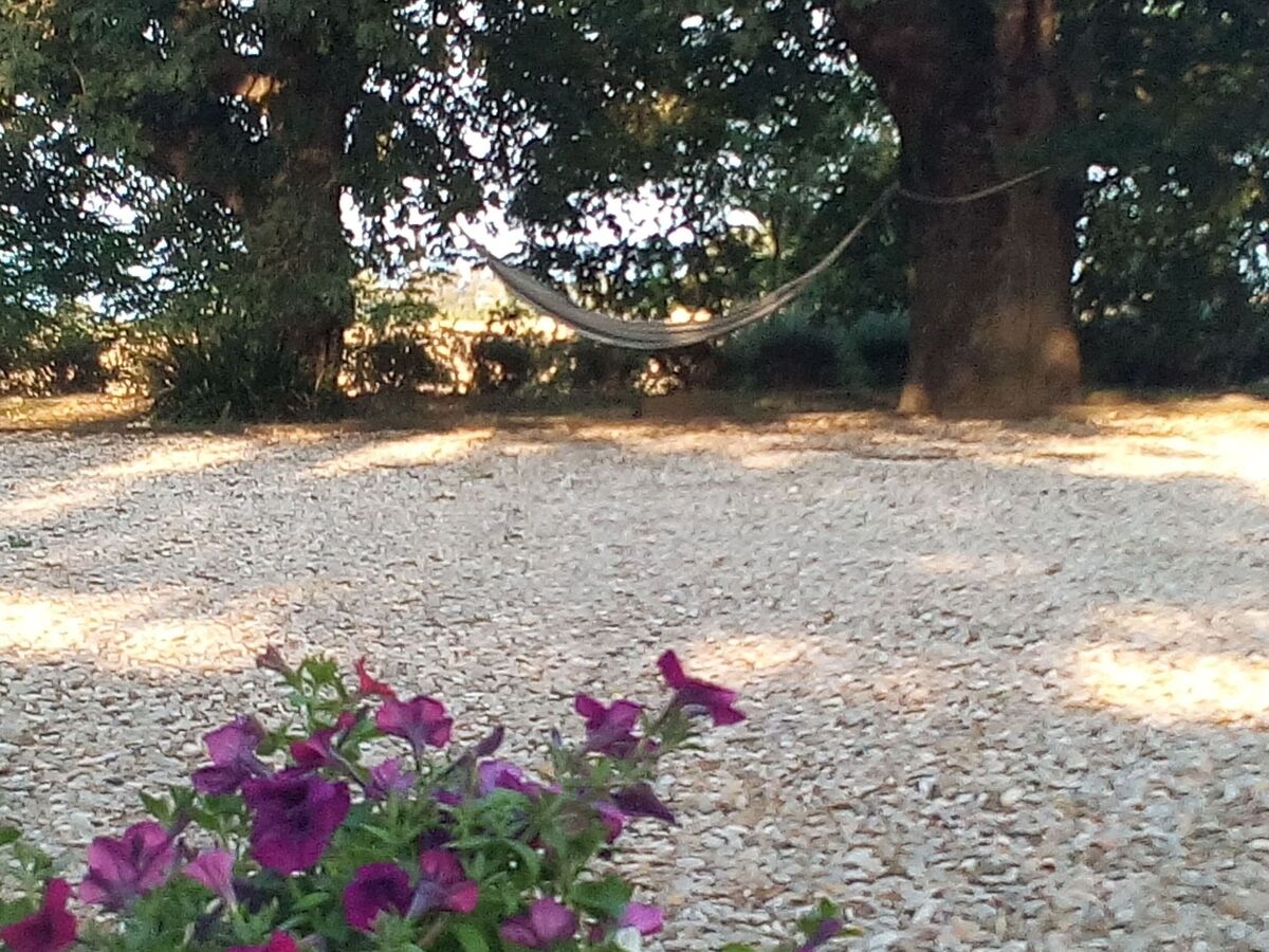 La Porcilaia, appartement 130 m² vue lac Bolsena - Photo 30