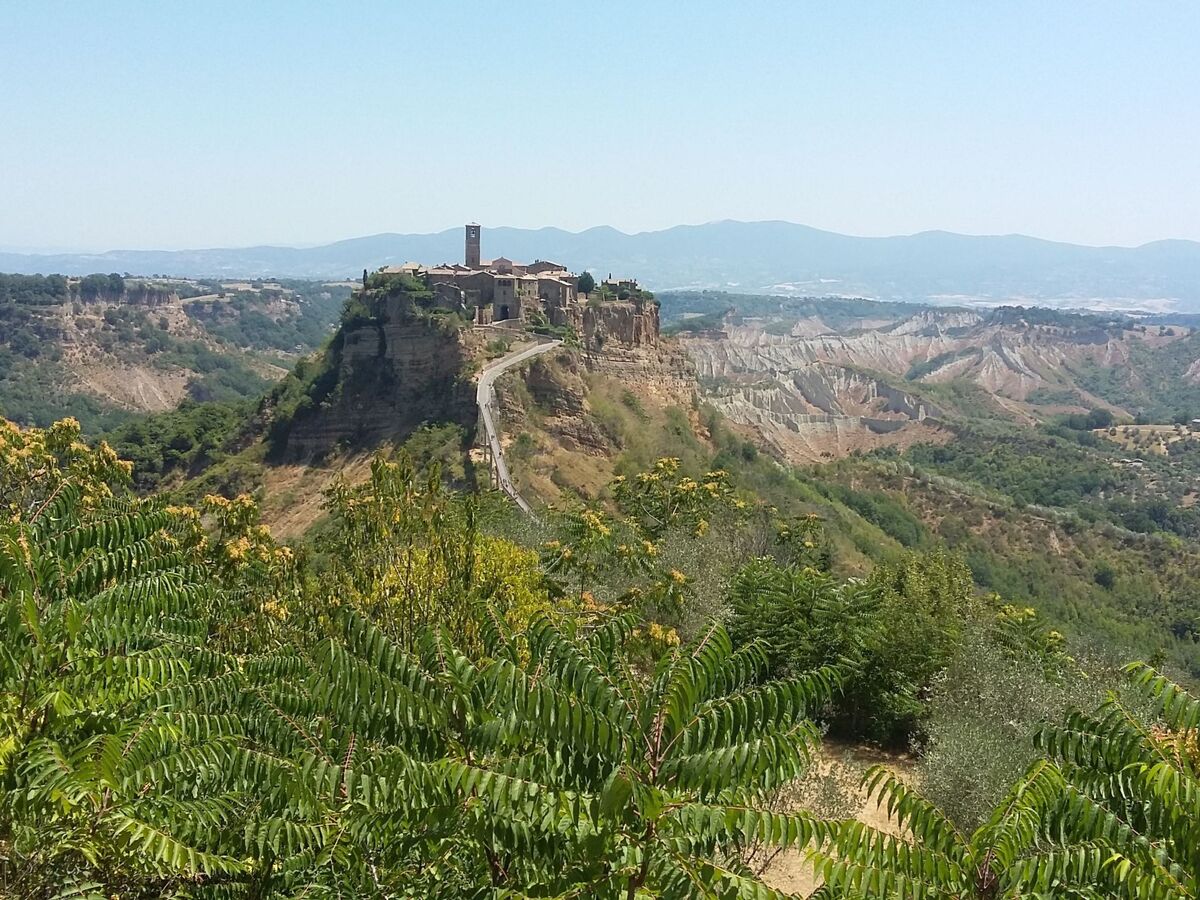 Casa Verde – Appartement 4 pers. à Castel Cellesi - Photo 23