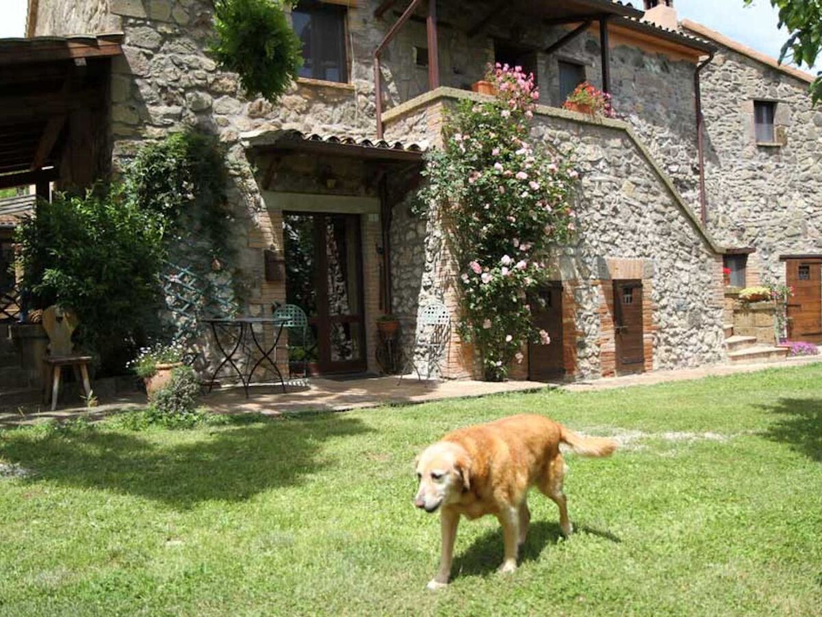 Casa Erika, appartement 2 pers. vue Tiber à Castel Cellesi - Photo 6