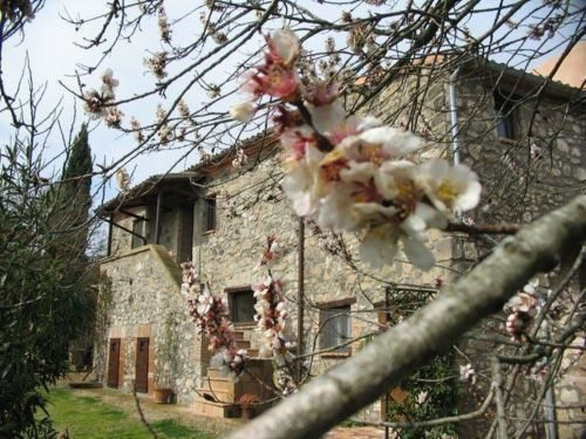 Casa Erika, appartement 2 pers. vue Tiber à Castel Cellesi - Photo 16