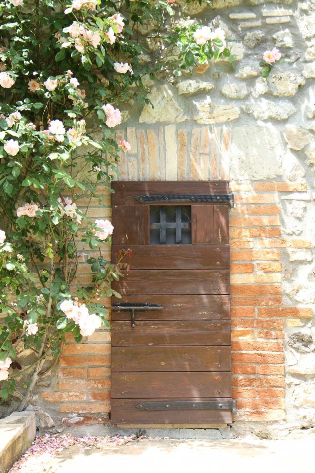 Casa Erika, appartement 2 pers. vue Tiber à Castel Cellesi - Photo 21