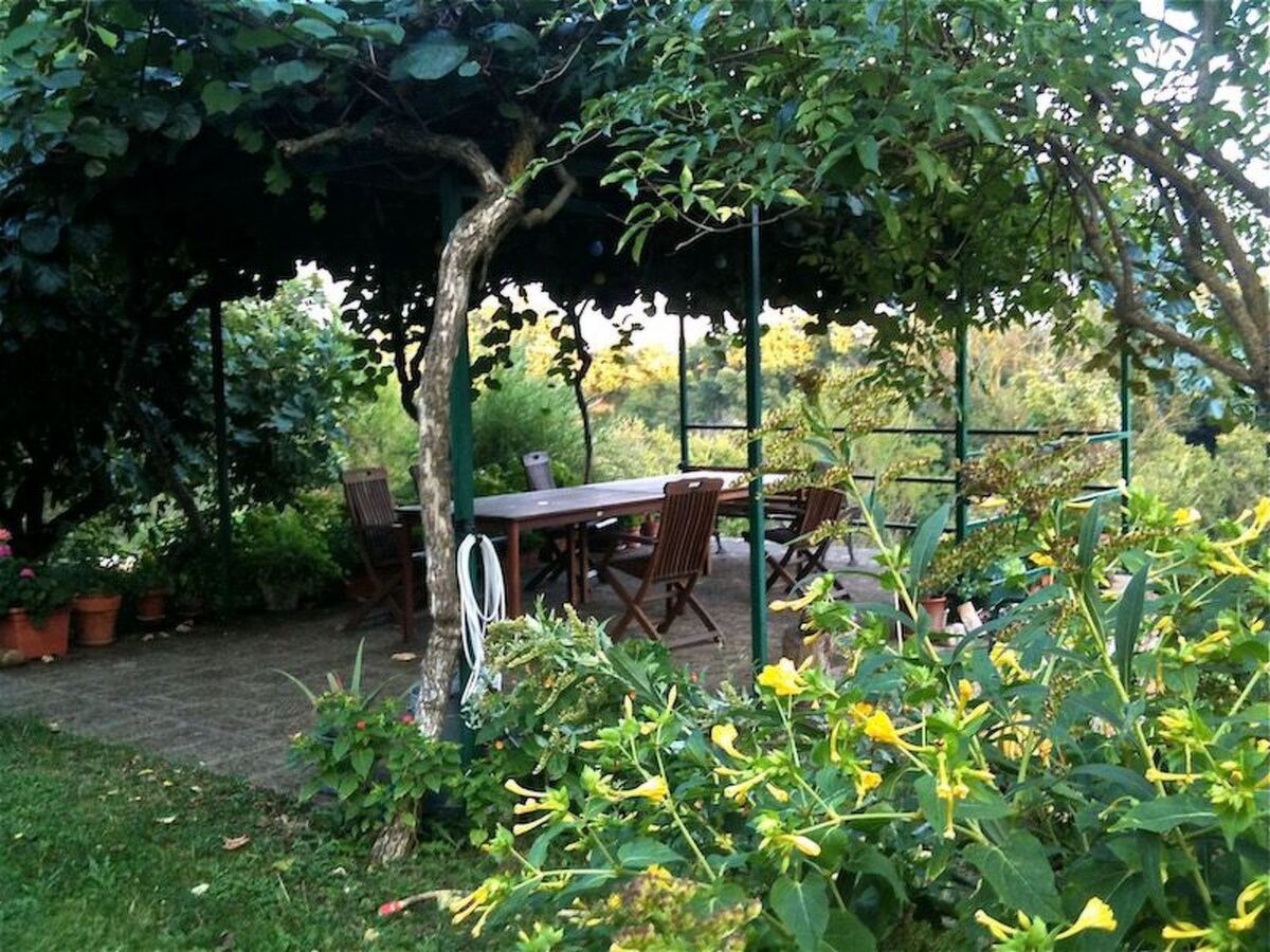 Casa Erika, appartement 2 pers. vue Tiber à Castel Cellesi - Photo 22