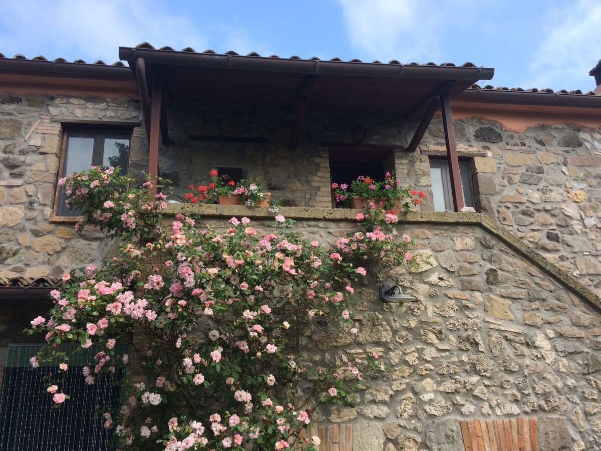 Casa Erika, appartement 2 pers. vue Tiber à Castel Cellesi - Photo 24
