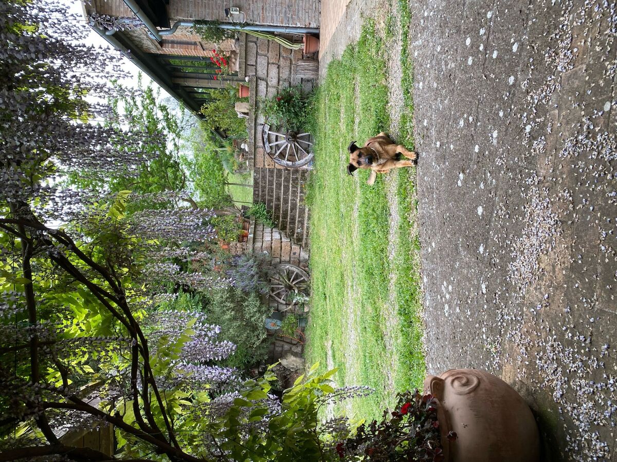 Casa Erika, appartement 2 pers. vue Tiber à Castel Cellesi - Photo 50