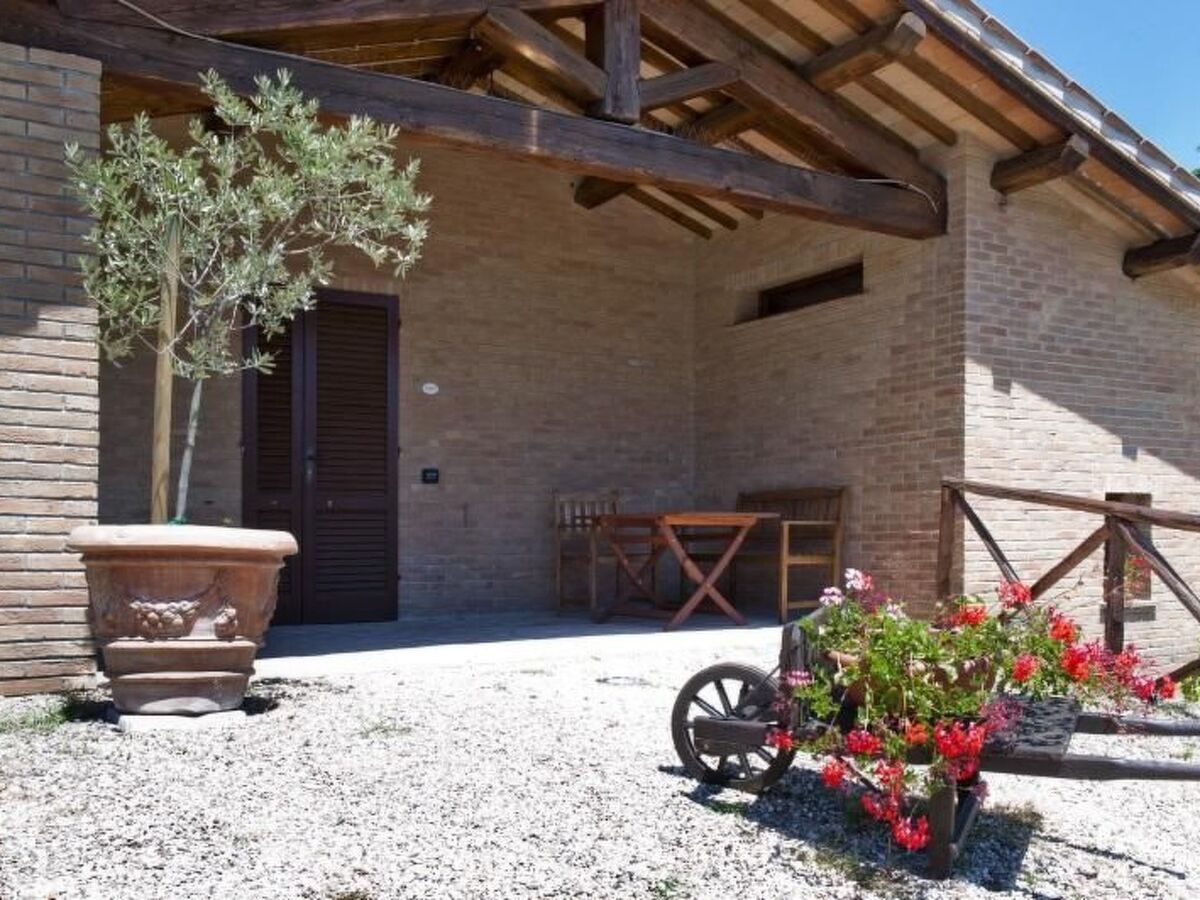 Casa Poggeri - Studio avec veranda à Montefiascone - Photo 3