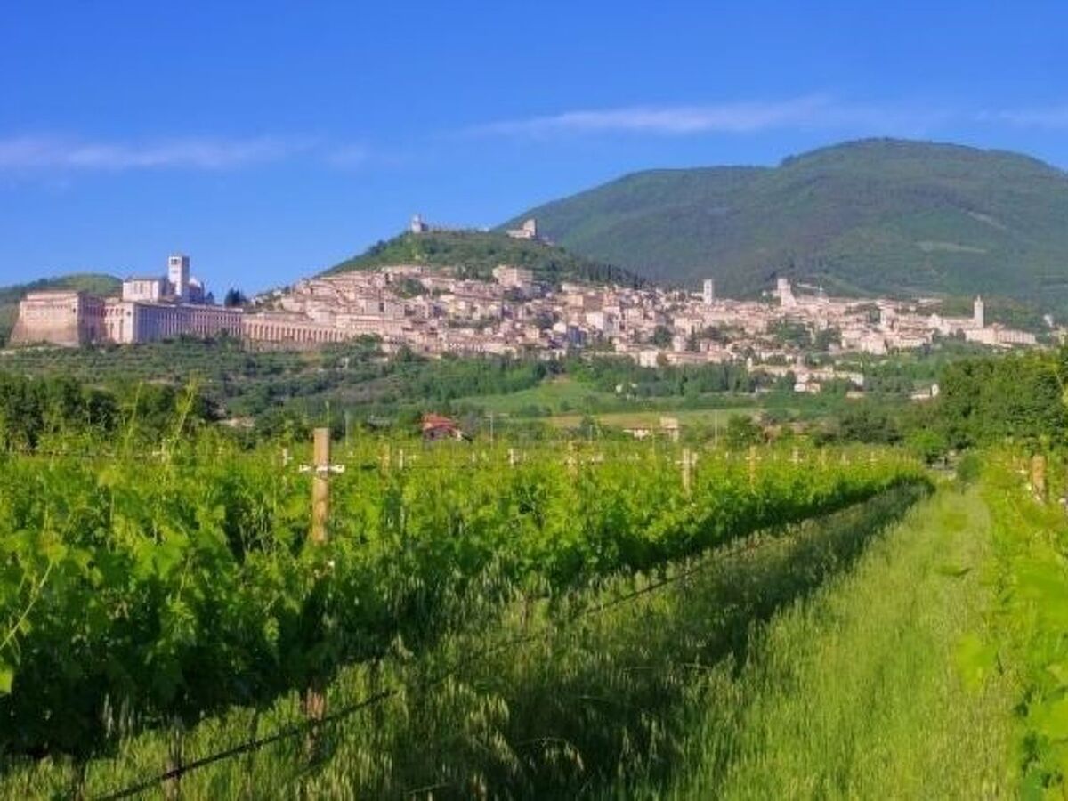 All Comfort Apartment, nur 4KM von Assisi entfernt - Photo 16