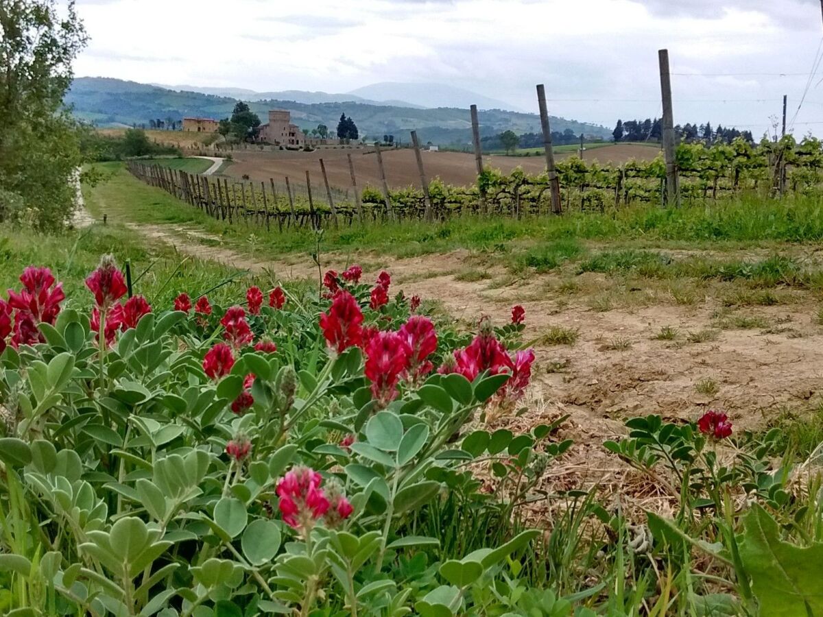 Appartement Bosco, 6 pers. Lac Trasimeno - Photo 22