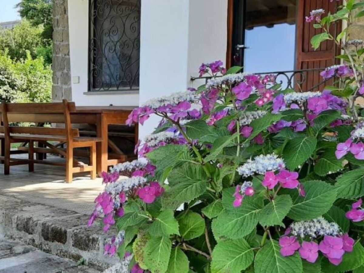 Appartement 3 chambres avec jardin 1000m² à Bracciano - Photo 2