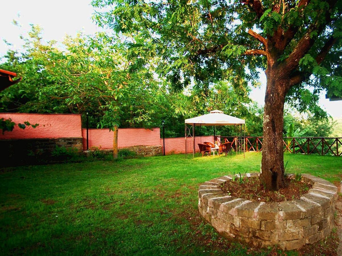 Villa Der Kirschbaum – 6 chambres, piscine près de Rome - Photo 8
