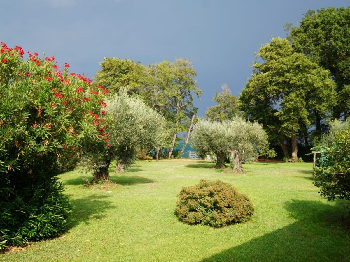 Villa avec accès plage privée, Lac Bracciano - Photo 8