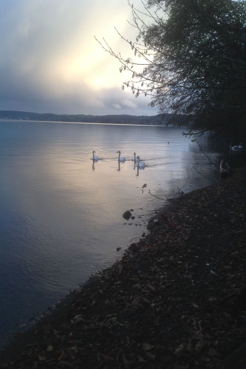 Villa avec accès plage privée, Lac Bracciano - Photo 17