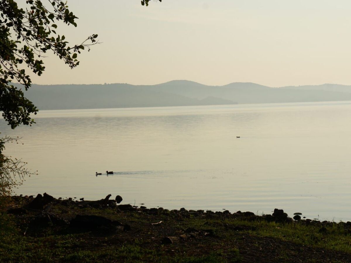 Villa avec accès plage privée, Lac Bracciano - Photo 20
