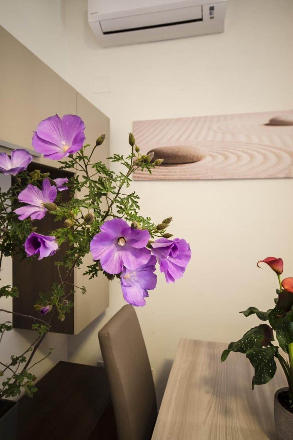 Appartement 8 pers. rénové près métro B Rome - Photo 33