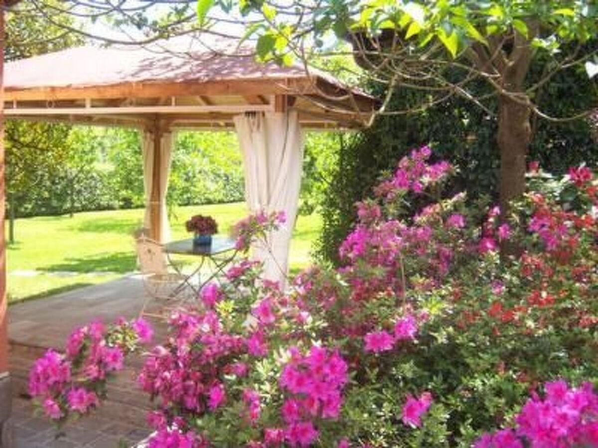 Villa Mandolata – Maison 2 pers. avec piscine à Gallicano - Photo 2