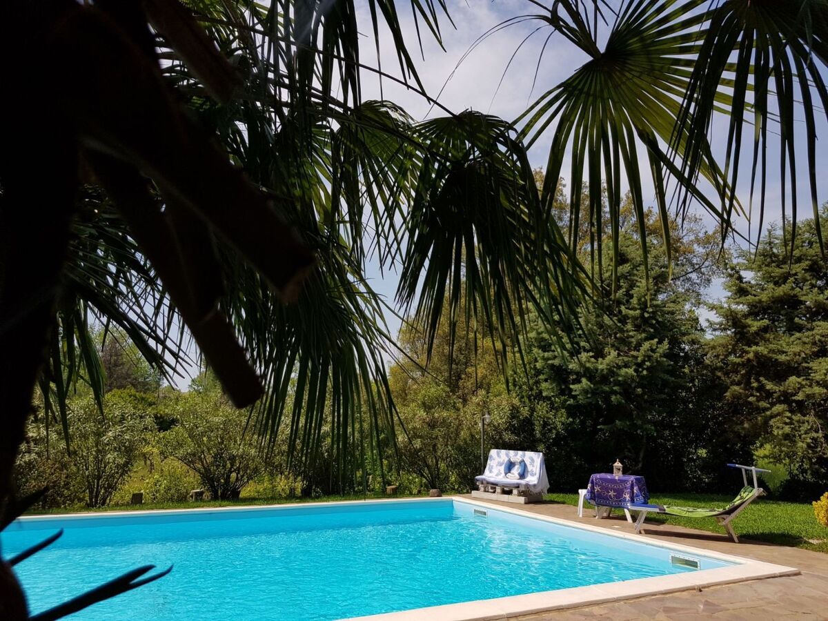Villa Oleandri à Nettuno : piscine privée 6x12m - Photo 30