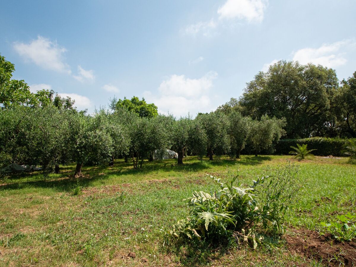 Villa Oleandri à Nettuno : piscine privée 6x12m - Photo 42