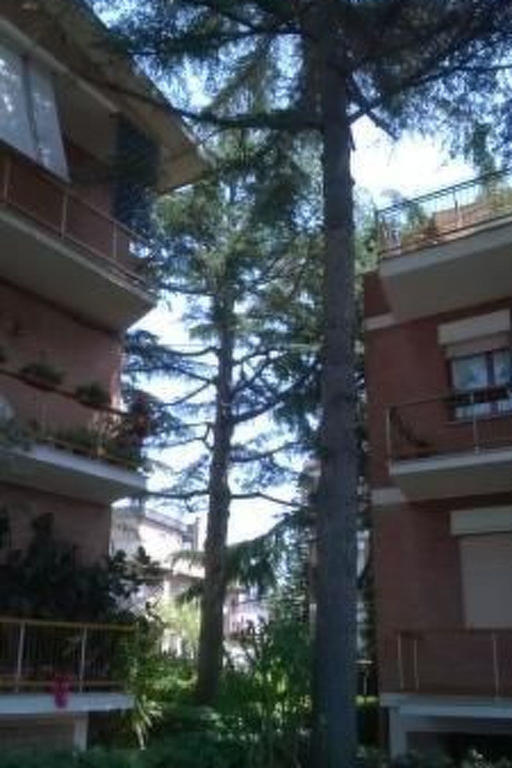 Penthouse 75m² terrasse 55m² à Sabaudia - Photo 24