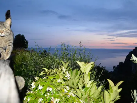 Maison Sperlonga avec jardin vue mer et accès plage : photo 16
