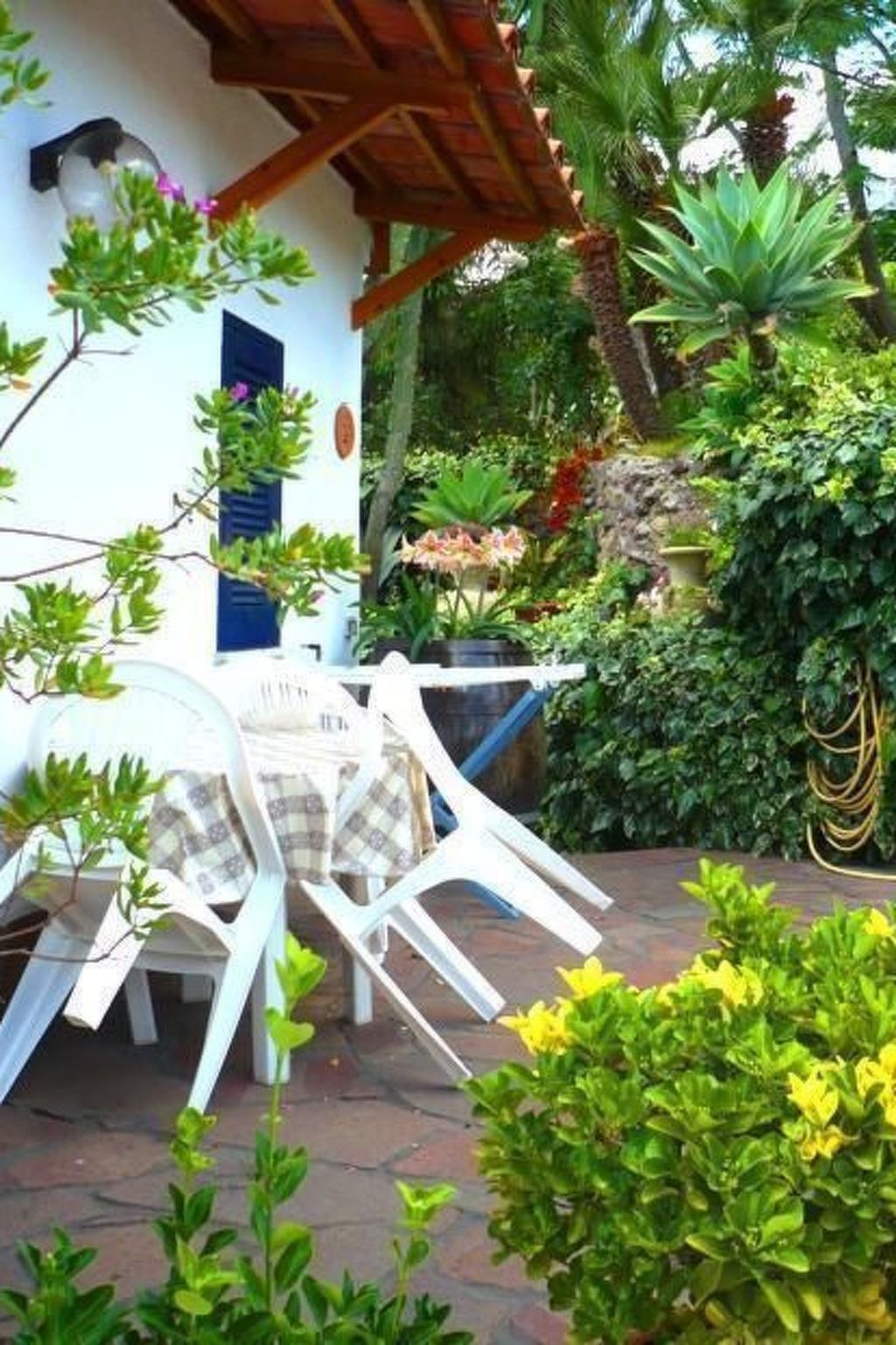Studio Hibiskus – Appartement Ischia Barano, terrasse privée - Photo 6
