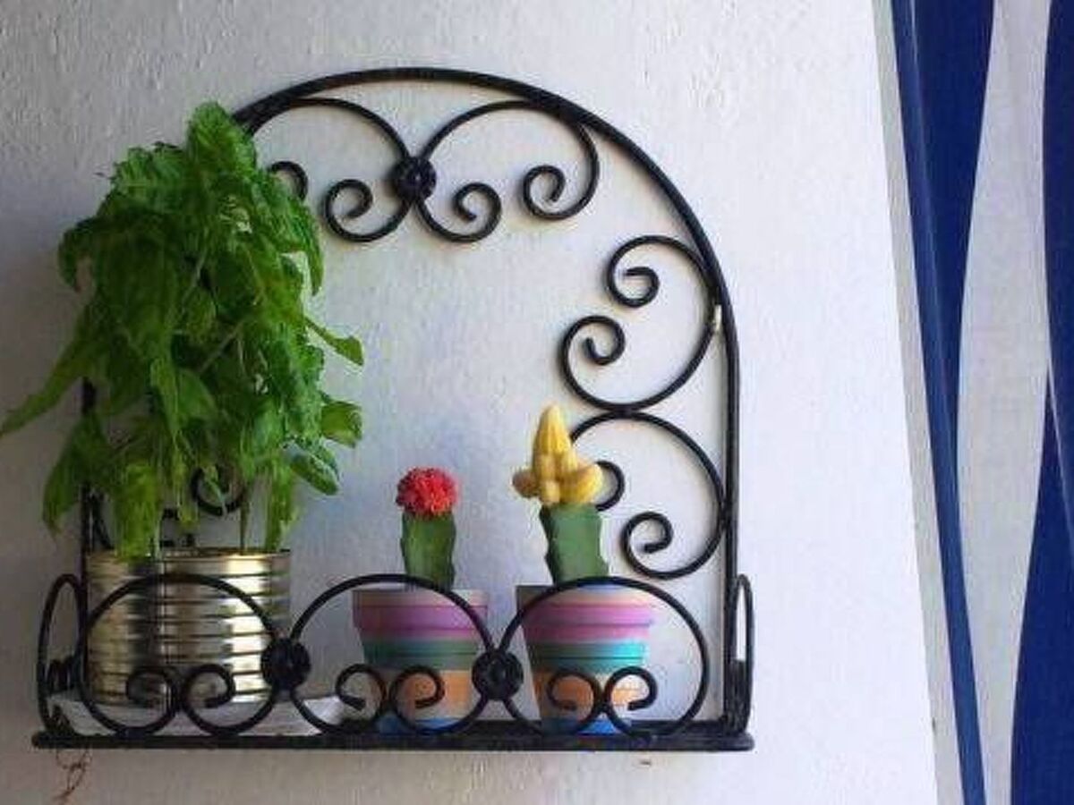 Studio Hibiskus – Appartement Ischia Barano, terrasse privée - Photo 13