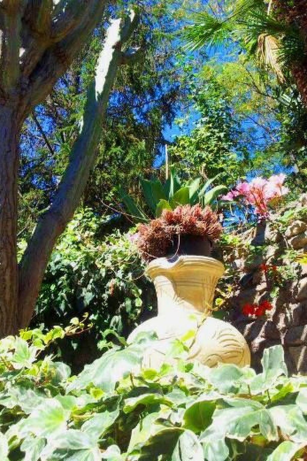 Studio Hibiskus – Appartement Ischia Barano, terrasse privée - Photo 14