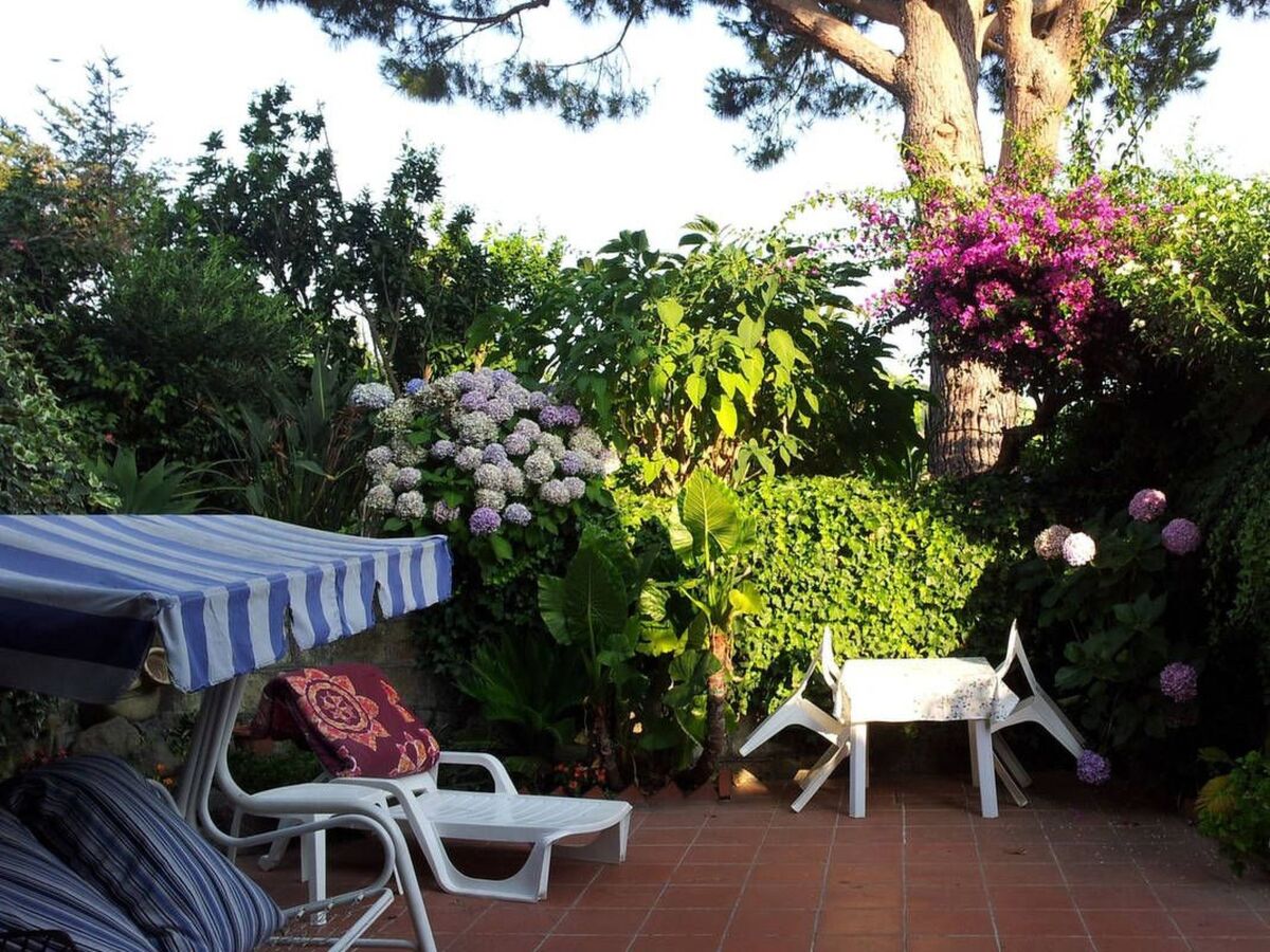 Appartement La Terrazza avec terrasse à Ischia - Photo 1