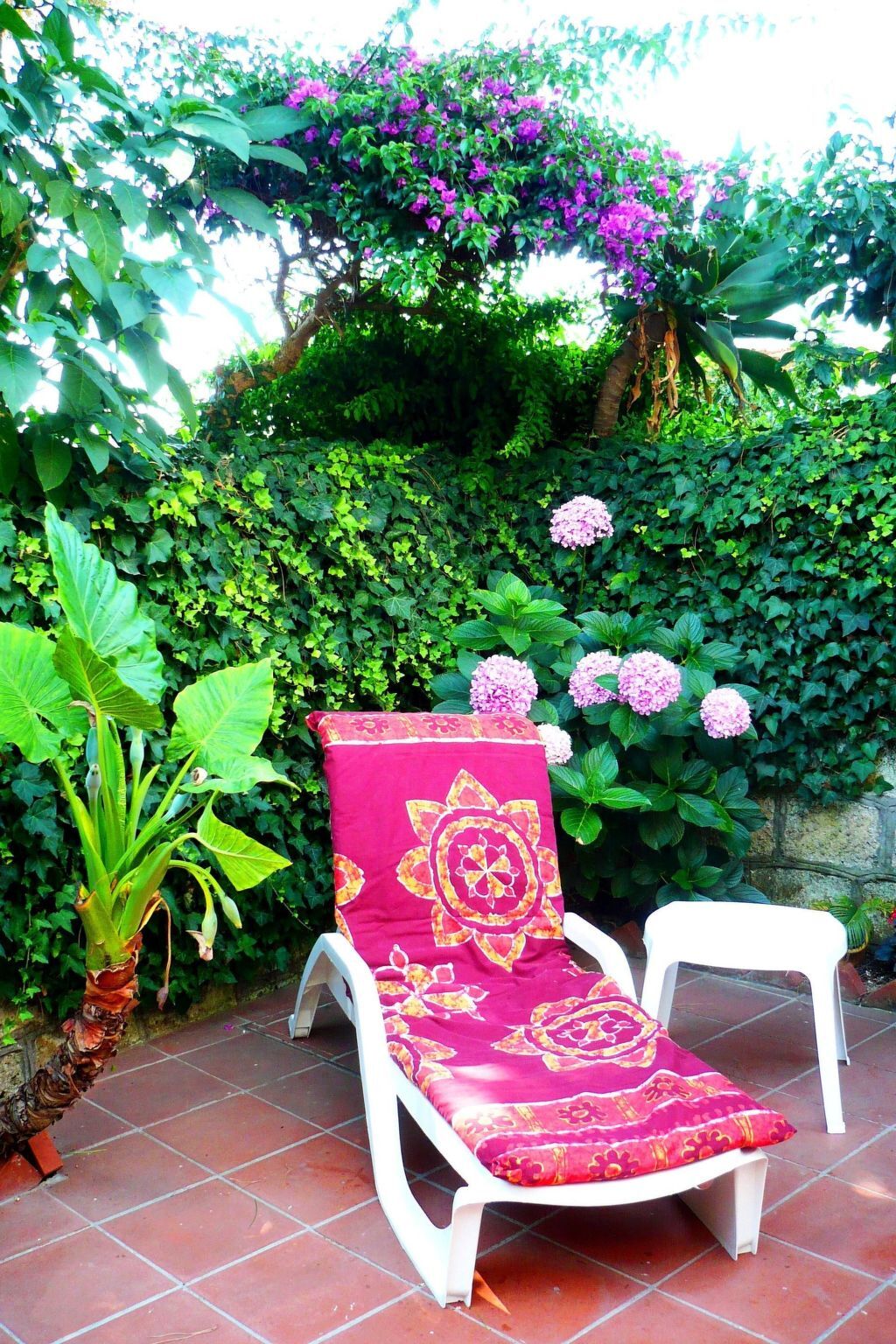 Appartement La Terrazza avec terrasse à Ischia - Photo 16
